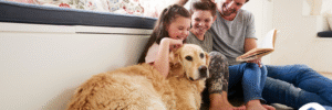 Disabled Person's Trust